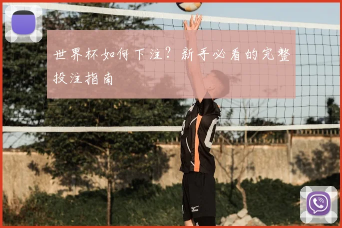 世界杯如何下注?新手必看的完整投注指南