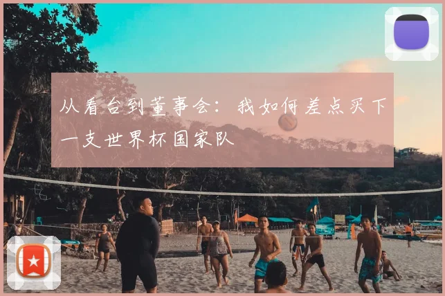 从看台到董事会：我如何差点买下一支世界杯国家队