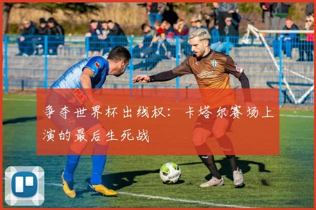 争夺世界杯出线权：卡塔尔赛场上演的最后生死战