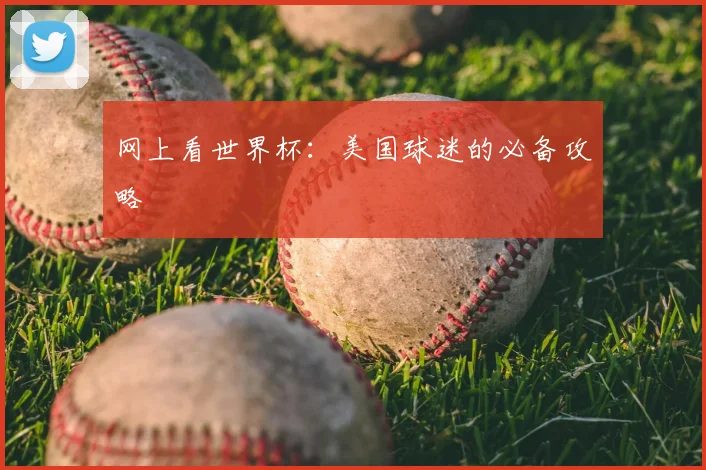 网上看世界杯:美国球迷的必备攻略
