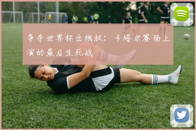 争夺世界杯出线权：卡塔尔赛场上演的最后生死战
