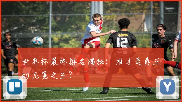 世界杯最终排名揭秘：谁才是真正的无冕之王？