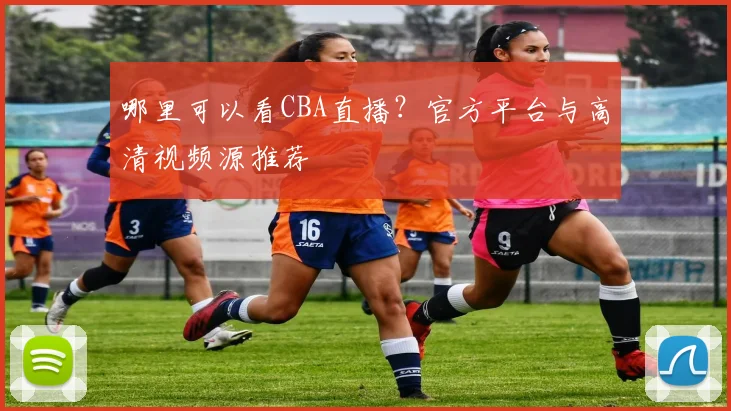 哪里可以看CBA直播？官方平台与高清视频源推荐