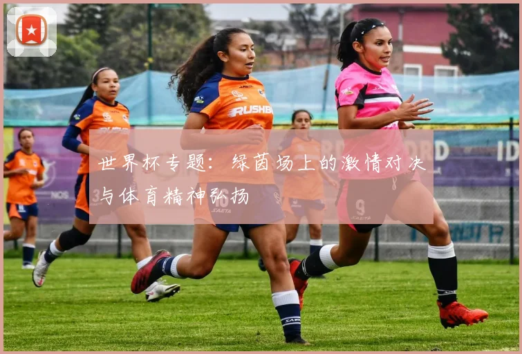 世界杯专题：绿茵场上的激情对决与体育精神弘扬