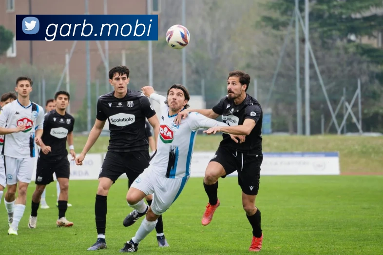 App Interface Preview